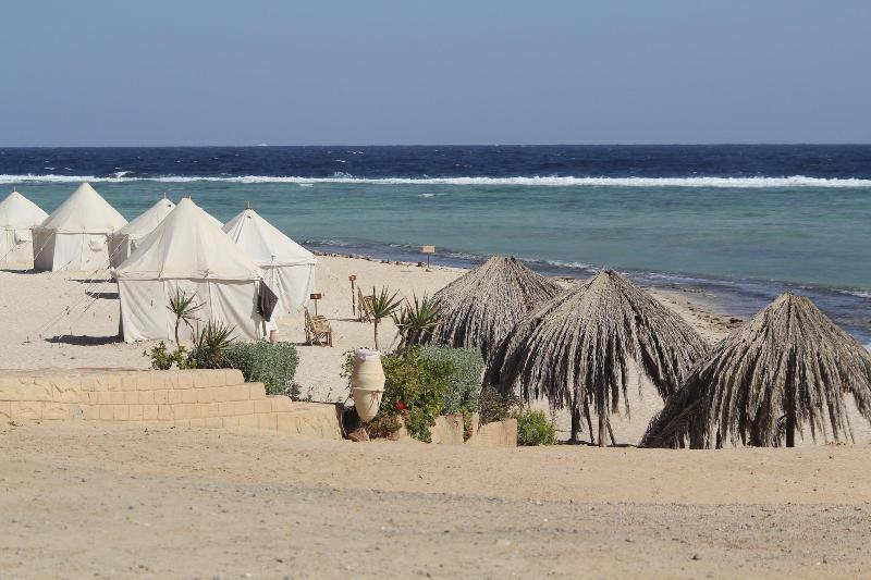 Marsa Shagra Village Marsa Alem Dış mekan fotoğraf