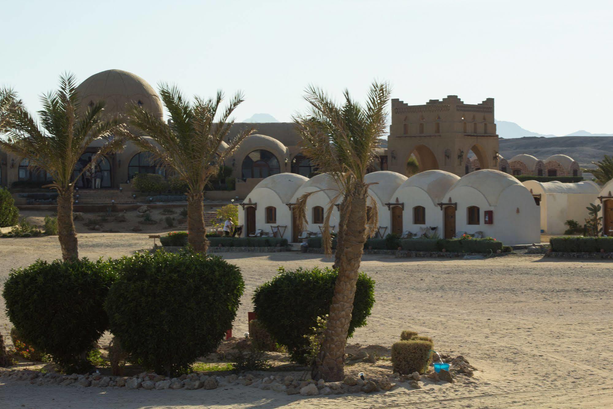 Marsa Shagra Village Marsa Alem Dış mekan fotoğraf